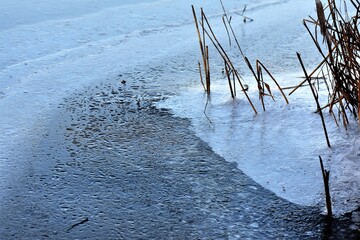 Dry reed grass in frozen lake in winter with ice and snow. shallow depth of field