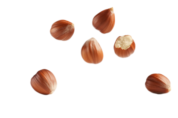 Hazelnuts Collection Group of Brown Nuts Isolated on Transparent Background for Food Design
