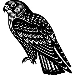 Obraz premium Vector art of a striking falcon perches majestically, isolated on white background