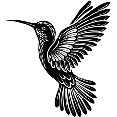 Vector art of a black and white blackbird isolated on white background