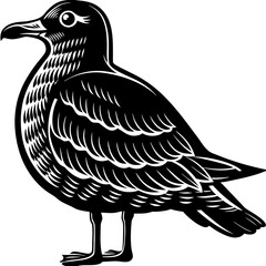 Vector art of a black and white seagull stands tall, isolated on white background