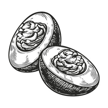 Deviled eggs close up with creamy filling in cross section, vintage engraved style. Delicious deviled eggs are ideal as a snack or appetizer, presented in artistic retro style.