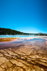 Colorful Microbial Mats and Steam at Grand Prismatic Spring in Yellowstone National Park