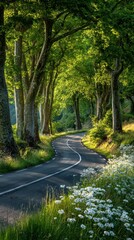 Obraz premium Winding Road through Lush Green Trees and Wildflowers