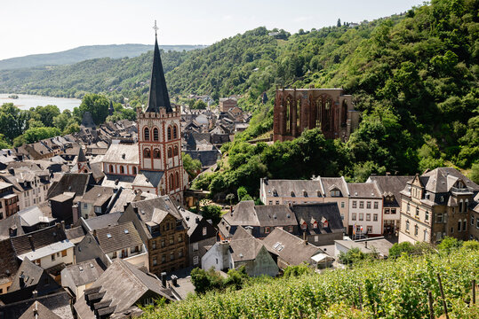 View from the vineyards of the historic Old Town with its half-timbered houses. View of the Rhine River, Bacharach, Hesse, Germany