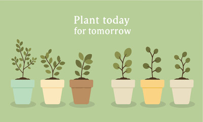 Obraz premium Flat Illustration Set Of Plant Growth Timeline In Clay Pots Suitable For School Projects And Campaign Posters Flat Design Style