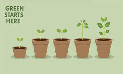 Flat Illustration Set Of Progressing Green Plants In Potted Rows Suitable For UI Banners And Campaigns Flat Design Style