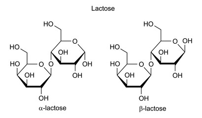 Chemical structure of lactose, drug substance
