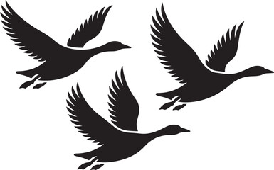 Fototapeta premium Three black geese flying in formation birds migration