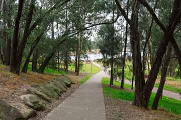 Fototapeta premium Photograph of a public cement walking path that meanders through the trees and parklands of Yarramundi Reserve in the Hawkesbury Region of NSW, Australia.