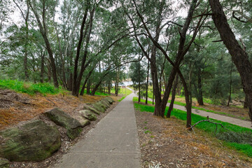 Photograph of a public cement walking path that meanders through the trees and parklands of Yarramundi Reserve in the Hawkesbury Region of NSW, Australia.