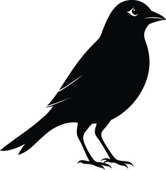 Fototapeta premium Profile Silhouette Black Silhouette Of A Sparrow Perching