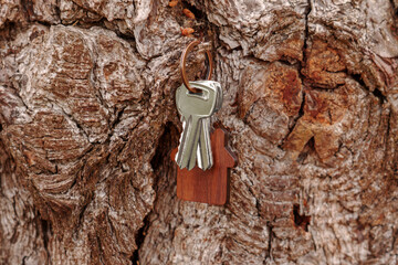 Apartment keys hanging on tree bark. With wooden house shaped keychain