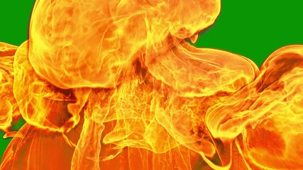 Dense fire transition wipe 003, two speeds, 4k 25p, green screen for transparent background. The density of these flames makes them less transparent. - Powered by Adobe