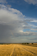 A large field with a few clouds