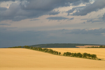 Obraz premium A landscape with a dirt road and trees with a rainbow in the sky