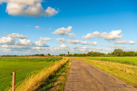 Locally repaired asphalt country road in a Dutch agricultural landscape on a sunny summer evening. On both sides of the road is a fence of wooden posts and barbed wire.