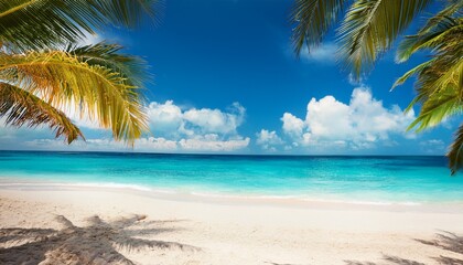 Obraz premium beautiful summer background with blue sky white clouds and palm trees on the tropical beach