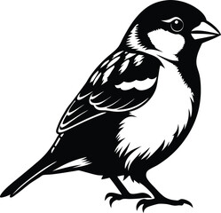 Obraz premium Top View Black Silhouette Of A Sparrow Perching On