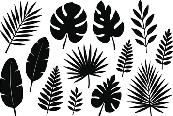 tropical Leaves Silhouette Collection, A versatile set of black tropical leaves perfect for summer designs and nature-themed projects.
