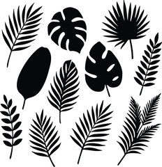 tropical Leaves Silhouette Collection, A versatile set of black tropical leaves perfect for summer designs and nature-themed projects.