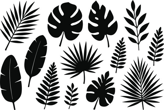 tropical Leaves Silhouette Collection, A versatile set of black tropical leaves perfect for summer designs and nature-themed projects.