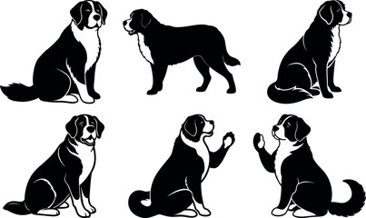 Vector art of saint bernard dogs in different poses isolated on transparent background