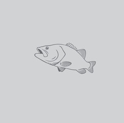 vector bass fish