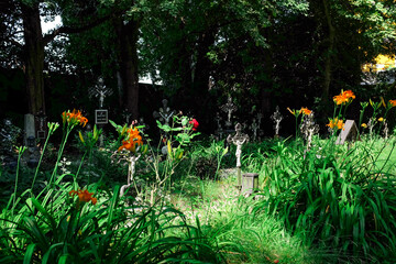 Vienna, Austria: Friedhof Der Namenlosen, the Cemetery of the Nameless, with ornate metal crosses, aged gravestones, overgrown grass, orange flowers, trees. Before Sunrise film location.