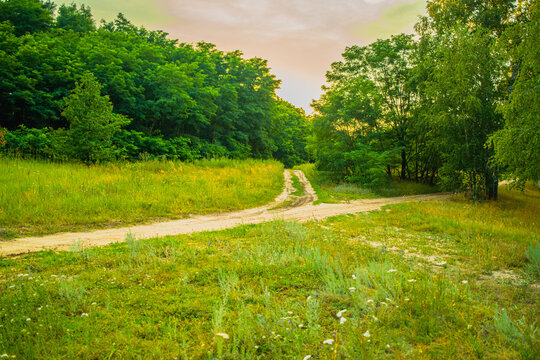 Two sandy paths split in a vibrant meadow surrounded by lush trees as the sun sets casting a warm glow over the tranquil scenery inviting exploration