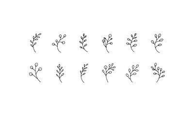Thin Leaves Illustration. Thin Leaves Illustration shows a delicate line arrangement of light foliage ideal for natural minimalist projects.