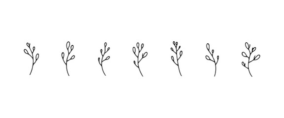 Fine Botanical Drawing. Fine Botanical Drawing captures a light hand-drawn plant perfect for minimal and naturalistic visual compositions.