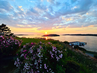 Fototapete bei efototapeten.de bestellen   