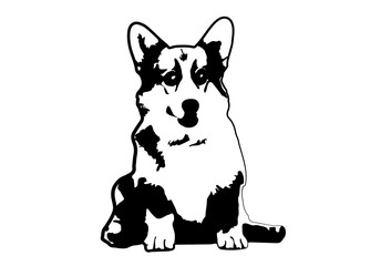 Сute сorgi dog - black vector animal illustration