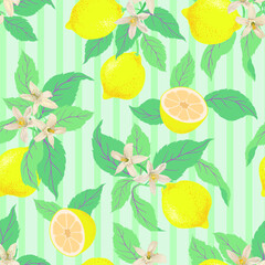 Lemon citrus vector pattern. Botanical vector illustration. Summer background. Floral design.	
