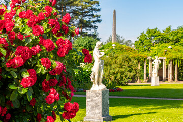 Red flowers in Private garden of Catherine park, Pushkin (Tsarskoe Selo), Saint Petersburg, Russia