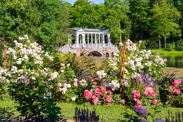 Marble bridge and summer flowers in Catherine park, Tsarskoe Selo (Pushkin), Saint Petersburg, Russia