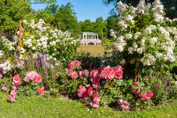 Marble bridge and summer flowers in Catherine park, Tsarskoe Selo (Pushkin), Saint Petersburg, Russia