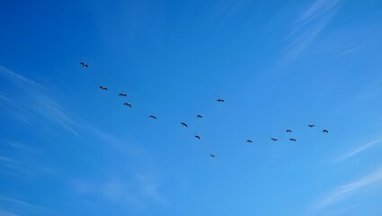 Obraz premium Stock image of birds flying in formation against a clear blue sky background photo
