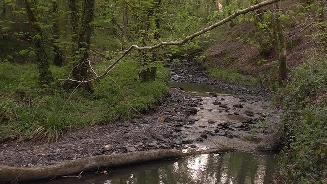 The River Clyne Flowing Through the Clyne Valley in Swansea, Wales, U.K.