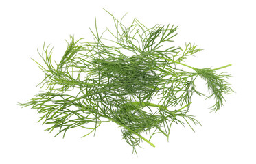 Fresh green dill isolated on white background, top view