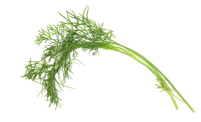 Fresh green dill isolated on white background, top view