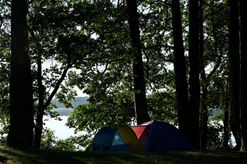 bright tents among trees summer camping