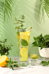 Mint alcoholic or non-alcoholic cocktail with lemon, lime, mint and ice. Modern still life with...