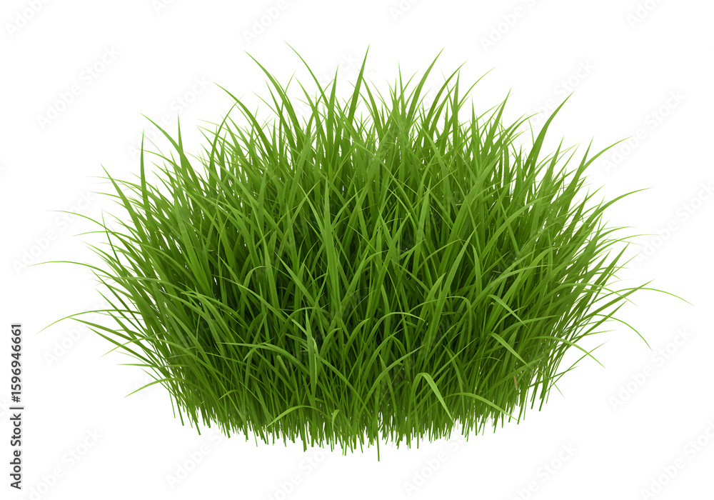 Poster a realistic rendering of lush green grass clump isolated on a white background detailed texture and 