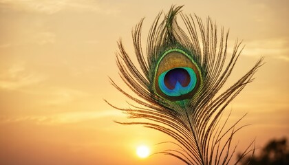 Obraz premium Sacred peacock feather, symbol of Lord Krishna, against a warm sunset sky. Represents Hindu culture, festivals like Janmashtami and Govardhan Puja, and deep religious devotion.