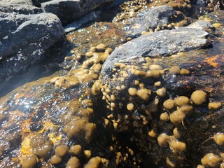 stones on the beach