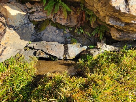 Fresh water spring high above Island Lake in Lamoille. Ruby Mountains