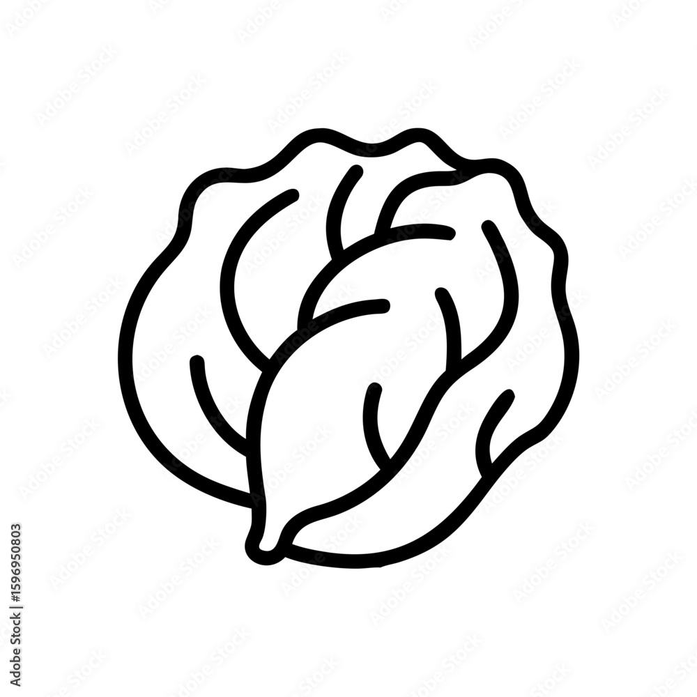 Poster outline drawing of a leafy green cabbage head with visible leaf details and a simple design style