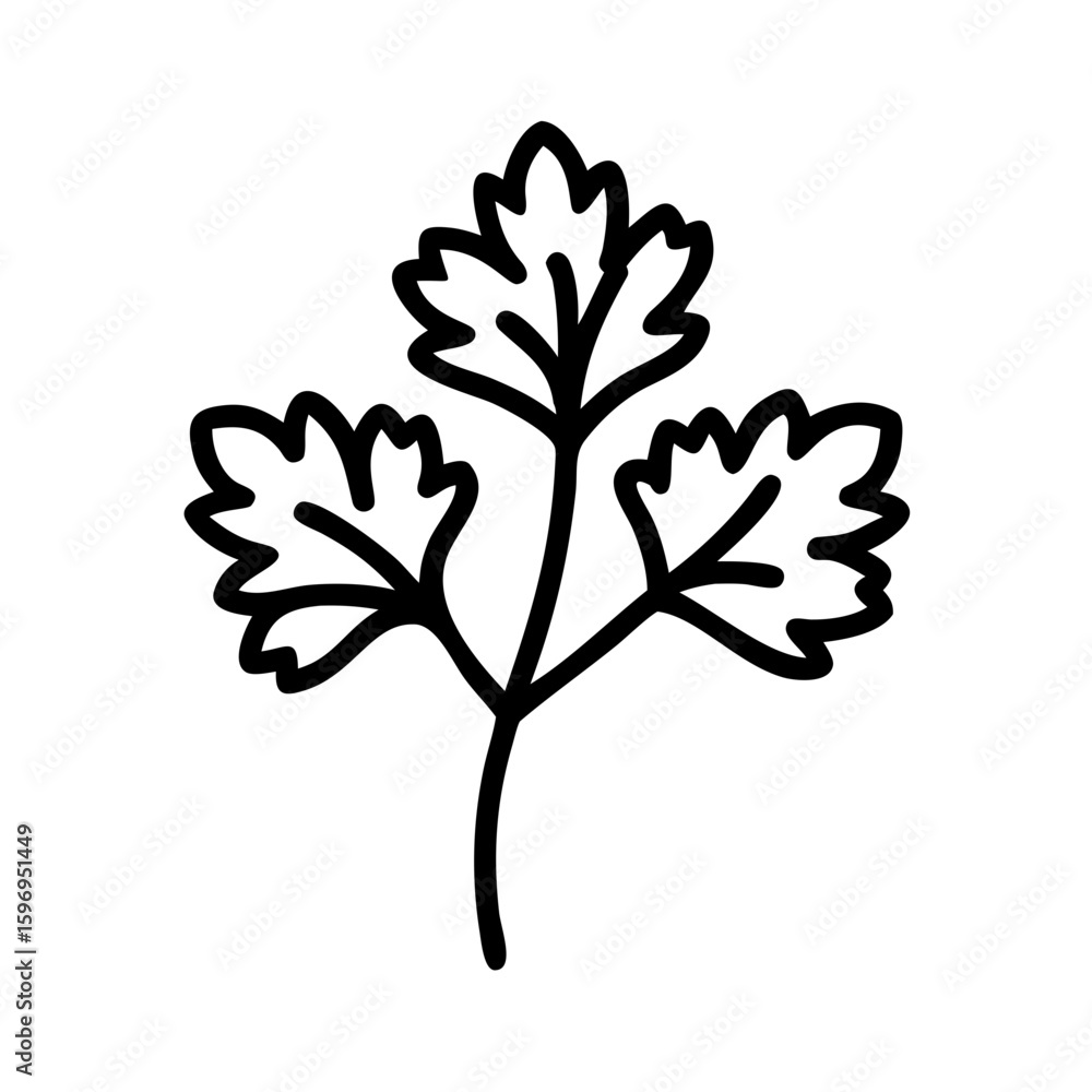 Poster simple graphic of a sprig of parsley with three leaves in a minimal black outline style design eleme
